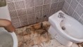 /album/exemplos-de-alguns-trabalhos/dsc-0157-1-jpg/